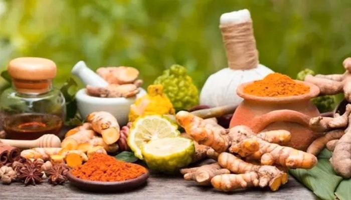 Ayurveda Day : आयुर्वेद दिवस के लिए क्यों चुनी गई 23 सितंबर की तारीख... जानें आयुर्वेद के मूल सिद्धांत से क्या है जुड़ाव