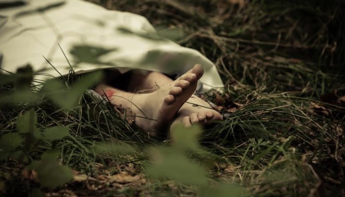 Manasi Murder Case: लखनऊ में मिला सीतापुर से लापता मानसी का शव, प्रेमी ने हत्या कर जंगल में फेंका