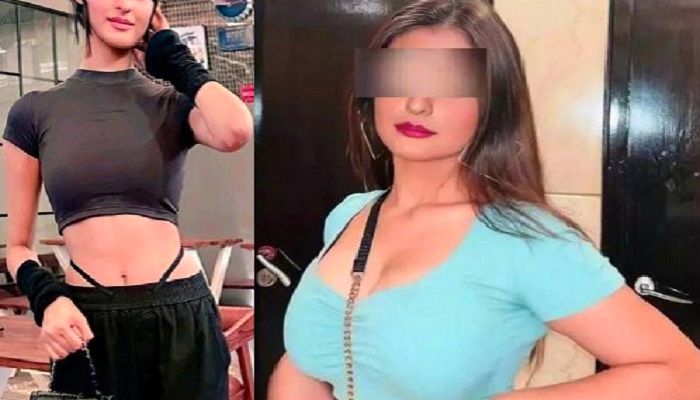 Payal Gaming के Dubai MMS Leak वीडियो ने मचाया बवाल ! यूजर्स बोले- मेरी पायल ऐसा नहीं कर सकती...