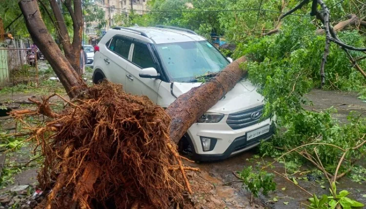 चक्रवात 'अर्नब' से आंध्र प्रदेश में 7 की मौत, 4,600 करोड़ का नुकसान