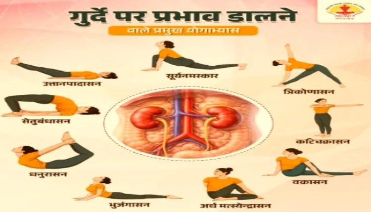 गुर्दे स्वस्थ नहीं तो आप भी अस्वस्थ, सुबह उठें और करें यह उपाय