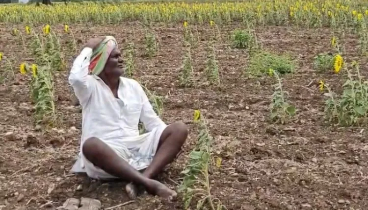 कर्नाटक के विजयनगर में सूखे की स्थिति का आकलन करेगी केंद्रीय टीम