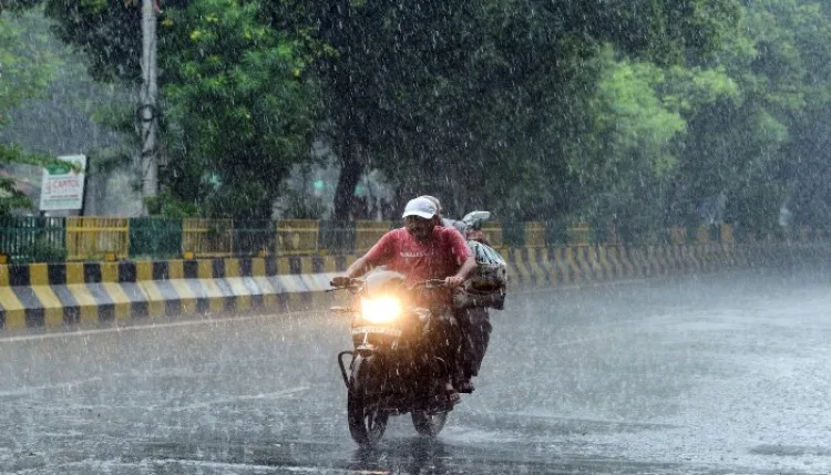 मध्य प्रदेश के 35 जिलों में बारिश का अलर्ट, छत्तीसगढ़ में भी 5 दिन तक बरसेंगे बादल
