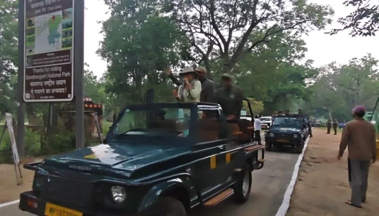 पर्यटकों के लिए खुला बांधवगढ़ टाइगर रिजर्व, जंगल सफारी को लेकर उत्साह