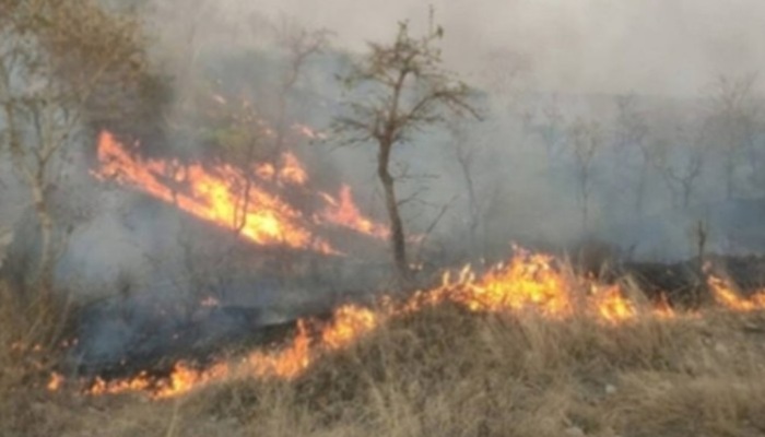 अरुणाचल प्रदेश और नागालैंड में जंगल की आग बुझाने के लिए युद्धस्तर पर काम, सेना और वायुसेना ऑपरेशन में जुटीं