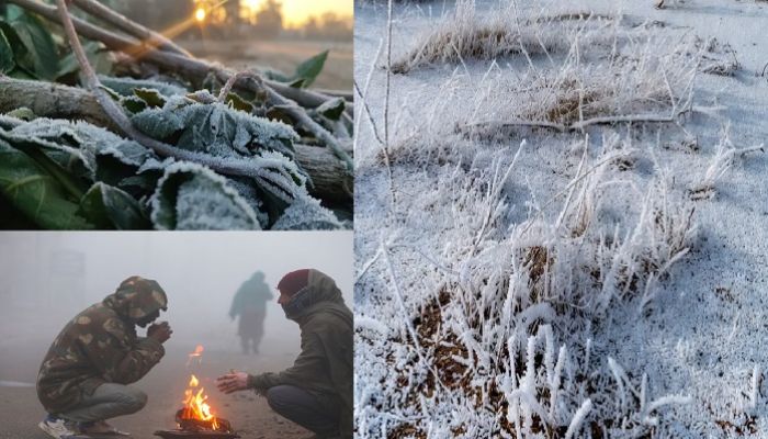 Rajasthan Weather: राजस्थान में बर्फ जमा देने वाली सर्दी, माउंट आबू में -3 डिग्री पहुंचा पारा, कई जिलों में बारिश का अलर्ट