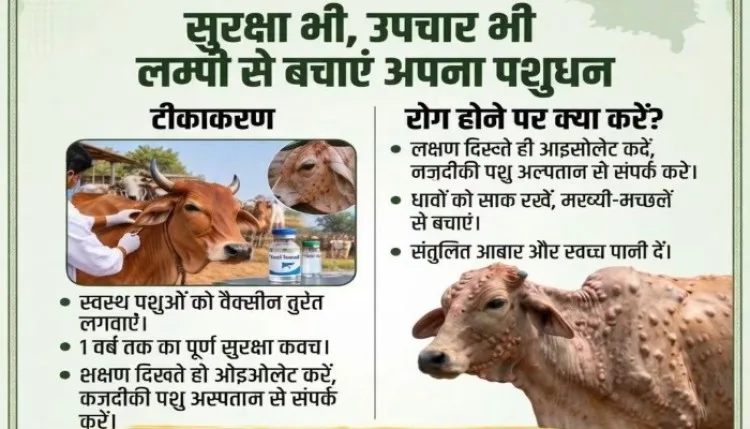उत्तर प्रदेश में लंपी वायरस से रोकथाम के लिए पशुओं का टीकाकरण शुरू