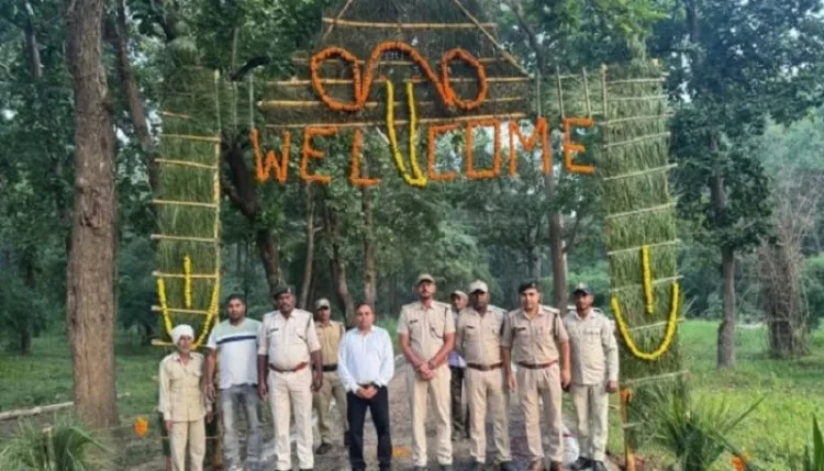 पर्यटकों से गुलजार हुआ बांधवगढ़ टाइगर रिजर्व, बाघिन देखकर बढ़ा उत्साह