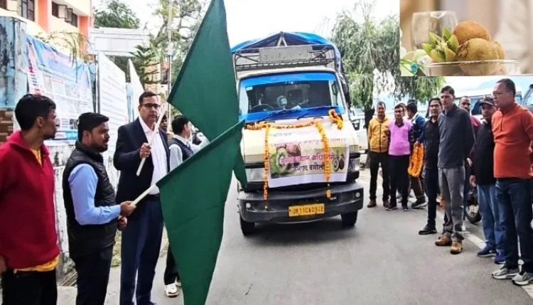 चमोली की कीवी अब दिल्ली के बाजारों में, 200 क्विंटल खेप रवाना