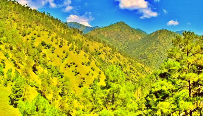 हिमालय की हरियाली पर खतरा, 2 साल में 2.27% ग्रीन कवर घटा