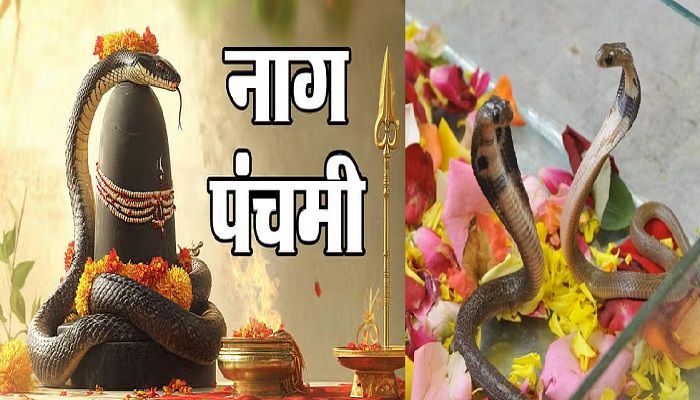 Nag Panchami 2025: नाग पंचमी पर करें ये काम, कालसर्प दोष से मिलेगी मुक्ति,   जानें पूजा का शुभ मुहूर्त और विधि