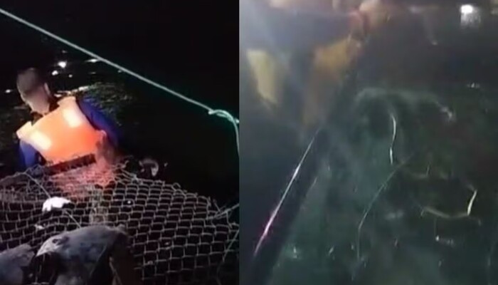 कटनी में दर्दनाक हादसा: तालाब में गिरी तेज रफ्तार कार, बीजेपी नेता समेत दो लोगों की मौत