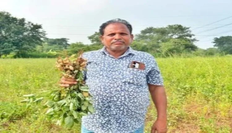 farmers को सरकार कर रही मदद, धान के बदले पसंद कर रहे दूसरी crops