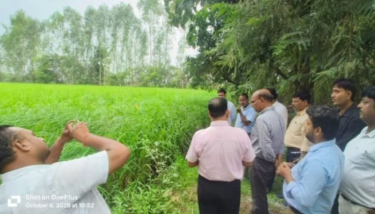 बांदा की प्राकृतिक खेती और देशी बीज संरक्षण की पहल को सराहा