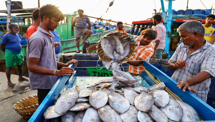 Seafood Export में भारत का रिकॉर्ड धमाका: 72,000 करोड़ पार, झींगों ने मचाया ग्लोबल बाजार में धूम