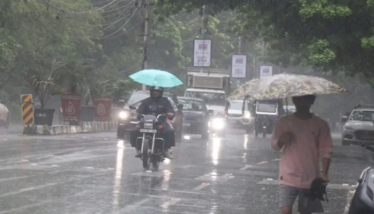 मध्य प्रदेश में पश्चिमी विक्षोभ का असर, अगले 4 दिन बारिश की संभावना