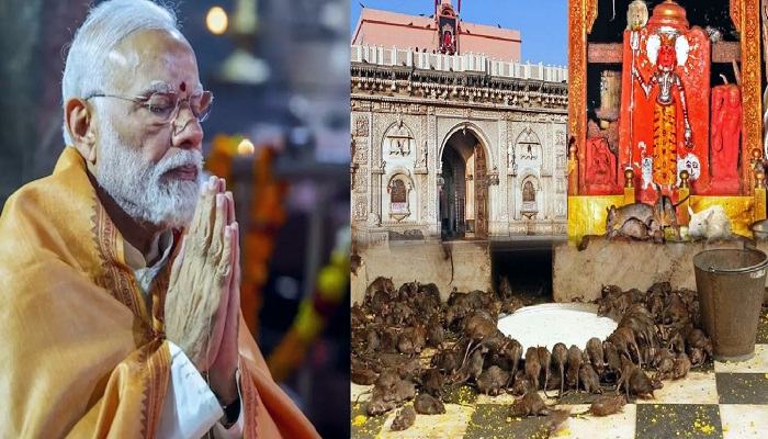 PM Modi Bikaner Visit: प्रधानमंत्री ने करणी माता मंदिर में किए दर्शन, देशनोक समेत 103 रेलवे स्टेशनों की दी सौगात