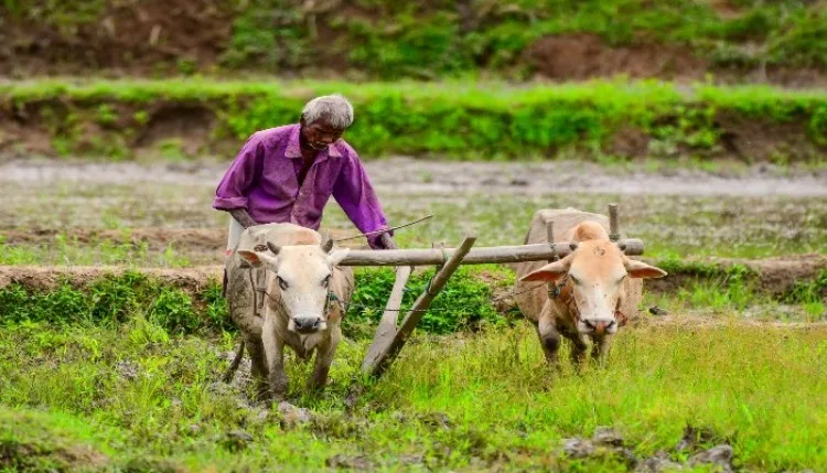पीएम-किसान योजना नहीं होगी बंद, 2031 तक जारी रखने का फैसला, महिला किसानों को भी मिल रहा लाभ