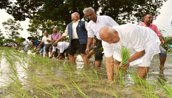 धान की रोपाई करने खेत पहुंच गए कृषि मंत्री, कहा उत्पादन बढ़ाने के लिए करें काम
