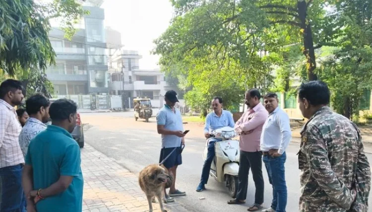 लखनऊ नगर निगम की सीमा में डॉग पालना अब आसान नहीं, शर्ताें पर ही बन पाएगा लाइसेंस