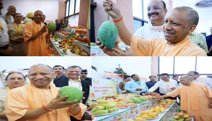 UP Mango Festival 2025: सीएम योगी ने किया 'आम महोत्सव' का शुभारंभ, 'योगी आम' देखकर मुस्कुराए मुख्यमंत्री