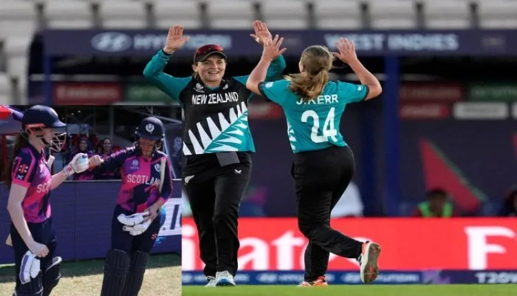 NZ-W vs SCO-W T20 World Cup 2026: स्कॉटलैंड ने न्यूजीलैंड के सामने रखी 132 रनों की चुनौती, कार्टर ने ठोकी फिफ्टी