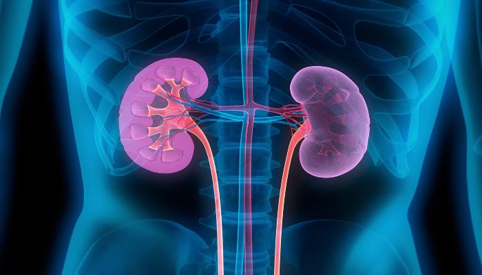 Kidney Failure Symptoms: पैरों से मिलते हैं किडनी खराब होने के संकेत, अनदेखा करना पड़ सकता है भारी