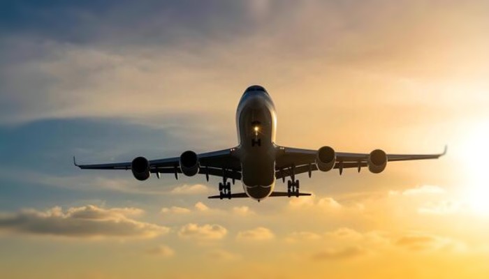 Plane Crash: दक्षिण सूडान में प्लेन क्रैश, पायलट समेत सभी 14 यात्रियों की मौत