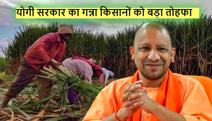CM Yogi: योगी सरकार ने किसानों के लिए खोला खजाना, गन्ने की कीमत में की जबरदस्त बढ़ोतरी