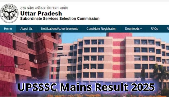 UPSSSC Mains Result 2025: यूपी जूनियर असिस्टेंट और क्लर्क मेन्स का परिणाम जारी, यहां देखें कटऑफ