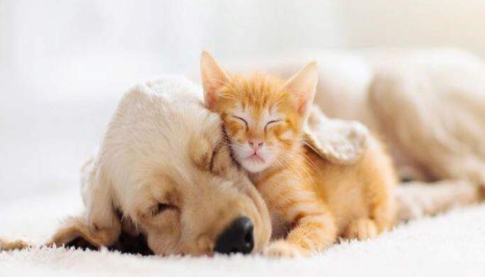 चिलचिलाती धूप में आपके पेट का ये हाल, कहीं आप भी तो नहीं कर रहे ये गलती