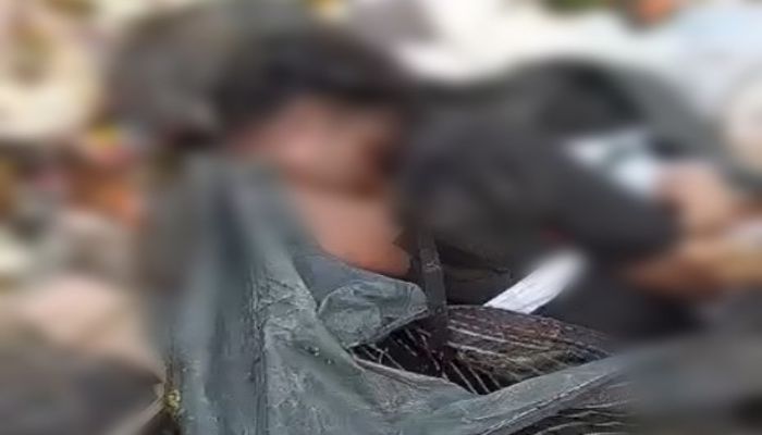 Noida: कूड़े के ढेर में मिला युवती का शव, जांच में जुटी पुलिस