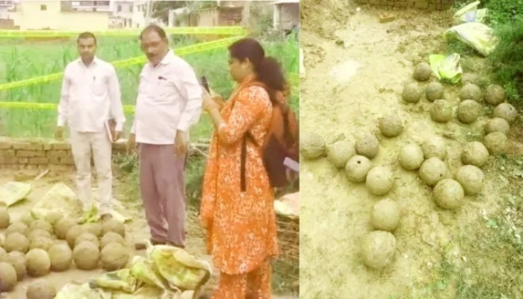 अमेठी: शौचालय की खुदाई में मिले 29 प्राचीन तोप के गोले, पुरातत्व विभाग ने की पुष्टि