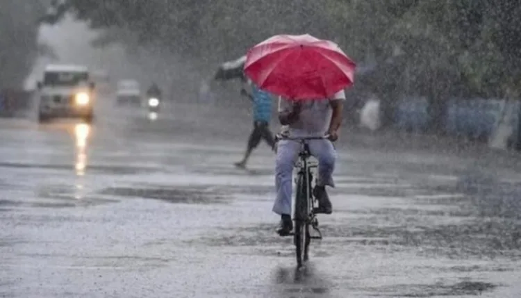 मध्य प्रदेश में मानसून सक्रिय, 32 जिलों में सामान्य से ज्यादा बारिश