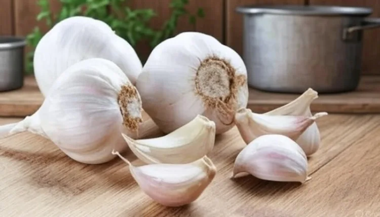 गुणों का खजाना है लहसुन, इस तरह डाइट में करें शामिल