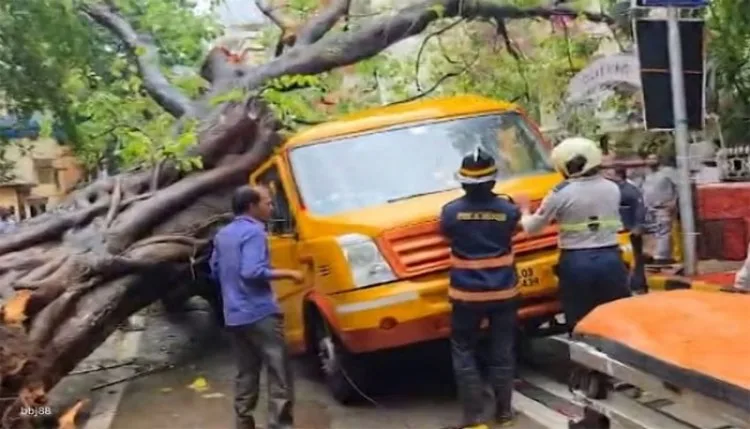 मुंबई में दर्दनाक हादसा, स्कूल बस पर गिरा पेड़, छात्रा की मौत, 14 घायल