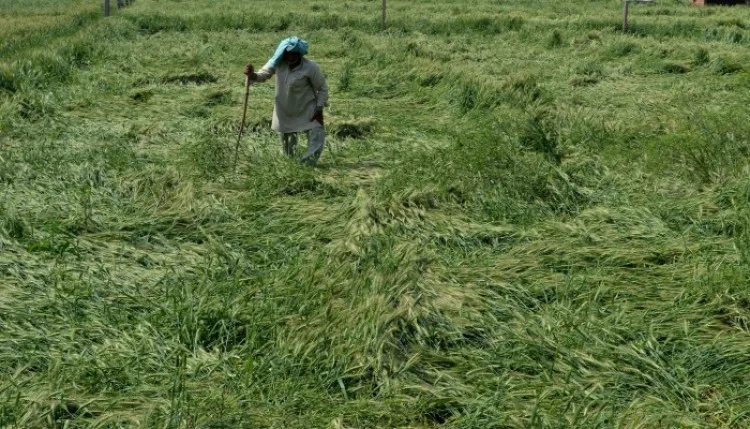UP में बाढ़ से प्रभावित किसानों को मिलेगी मदद, 12 अक्टूबर तक होगा सर्वे