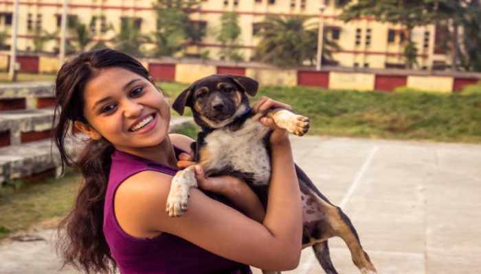 चंडीगढ़ में पेट डॉग्स पर नई सख्ती: खतरनाक नस्लों पर बैन, रजिस्ट्रेशन जरूरी और 10 हजार जुर्माना भी तय