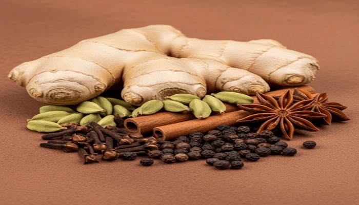 गले की खराश और दर्द से मिनटों में राहत देंगी ये तीन औषधियां, सर्दियों में इस तरह करें सेवन