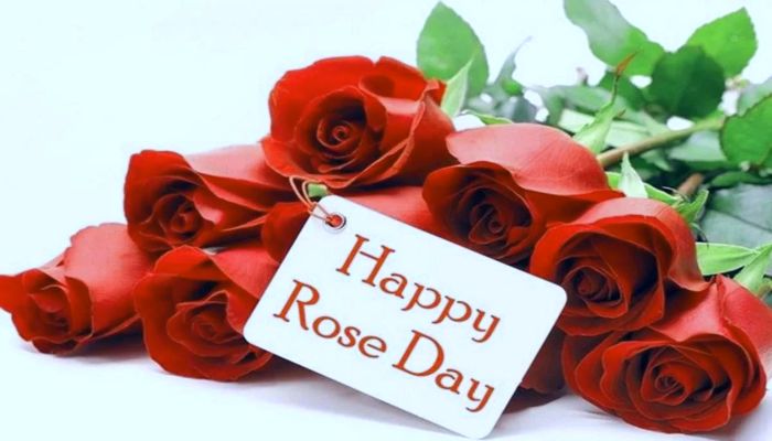 Happy Rose Day Wishes: गुलाब कहेंगे दिल की बात...रोज डे पर अपने पार्टनर को इस अंदाज में करें विश
