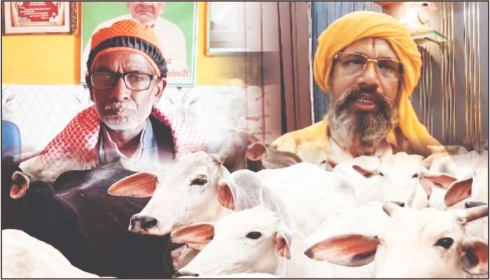 गाय को राष्ट्रीय पशु बनाने की मांग तेज, इकबाल अंसारी ने कहा- ‘गौ सम्मान देश की संस्कृति का हिस्सा’