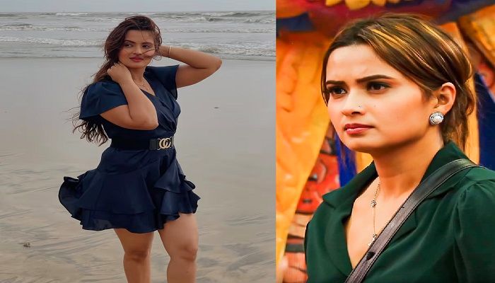 Bigg Boss 19: टास्क के दौरान नीलम गिरी ने शर्मनाक हरकत, घरवालों ने लगाई जमकर क्लास