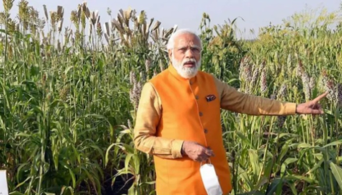 मोदी सरकार में खेती के लिए मिल रही अधिक बिजली, गेहूं से लेकर धान की एमएसपी बढ़ने से आमदनी बढ़ी : किसान