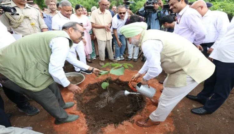 77 स्थानों पर एक लाख पौधे लगाए, दिल्ली के उपराज्यपाल टीएस संधू रहे मौजूद, कमला नेहरू रिज में चला अभियान