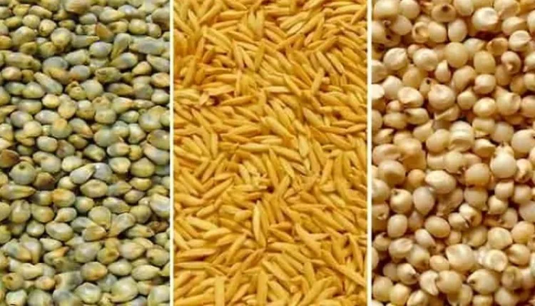मप्रः 10 अक्टूबर तक किसान करा सकेंगे पंजीयन: खाद्य मंत्री राजपूत