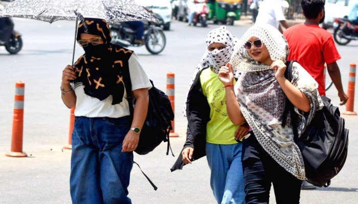 Homeopathic Remedies for Heatstroke : लू और डिहाइड्रेशन से बचने में होम्योपैथी कारगर- डॉ. दीक्षिता पांडे