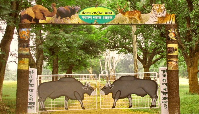 पलामू टाइगर रिजर्व और नेतरहाट में होटल-रिसाॅर्ट निर्माण पर एनजीटी सख्त, जारी की नोटिस