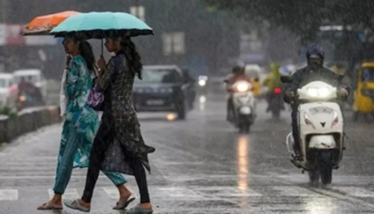 मध्य प्रदेश में फिर लौटा मानसून, कई जिलों में भारी बारिश का अलर्ट