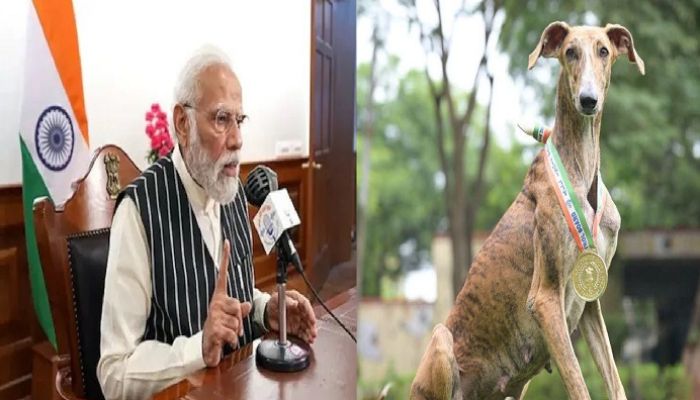 Mann Ki Baat: पीएम मोदी ने की सुरक्षा बलों में 'भारतीय नस्ल के कुत्तों' को अपनाने की सराहना