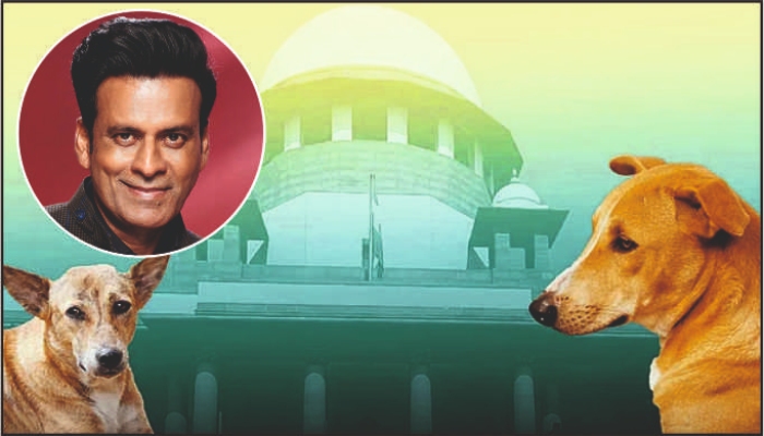 Stray Dogs: सुप्रीम कोर्ट के फैसले पर बोले मनोज बाजपेयी-“लोगों को भी सुरक्षित रहने का अधिकार”